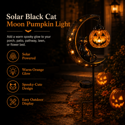 🔥 Get Ready for Spooky Season 🎃 Solar Black Cat Moon Pumpkin Outdoor stake Light ✨